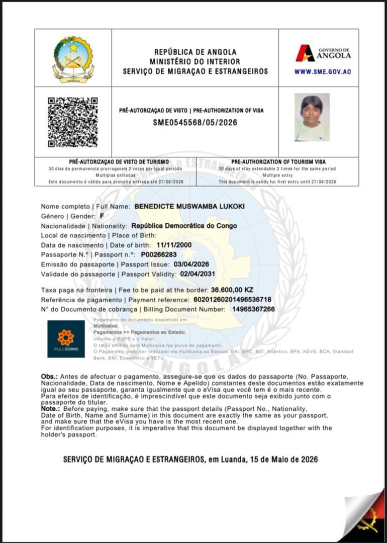 Avion en vol — Voyage Kinshasa Luanda